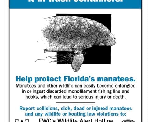Recycling Fishing Line Protects the Manatees Recycling Fishing Line Protects the Manatees