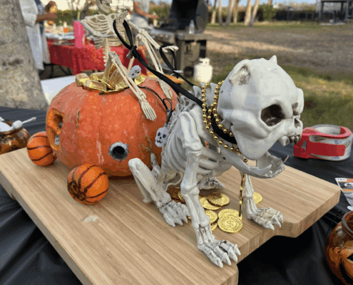 Pumkin Carving Contest Pumkin Carving Contest