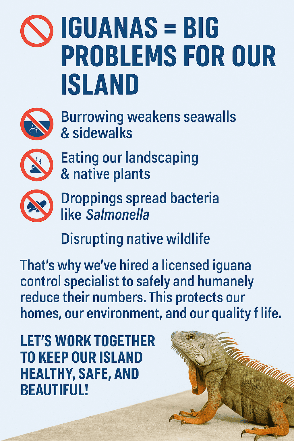 iguanas iguanas